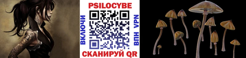 Псилоцибиновые грибы мухоморы  Купить закладки  Морозовск 